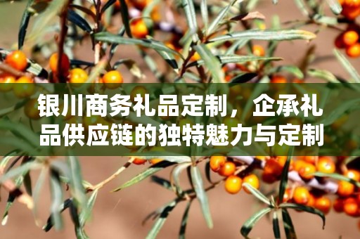 银川商务礼品定制，企承礼品供应链的独特魅力与定制之旅