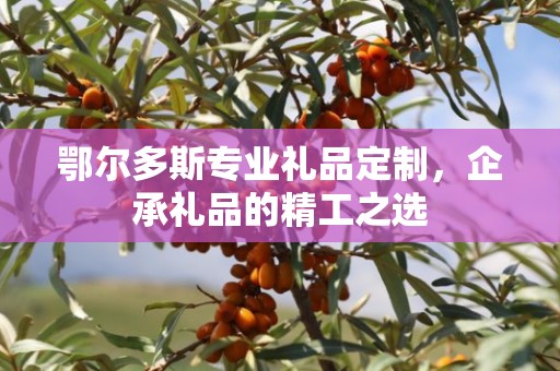 鄂尔多斯专业礼品定制，企承礼品的精工之选