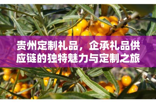 贵州定制礼品，企承礼品供应链的独特魅力与定制之旅