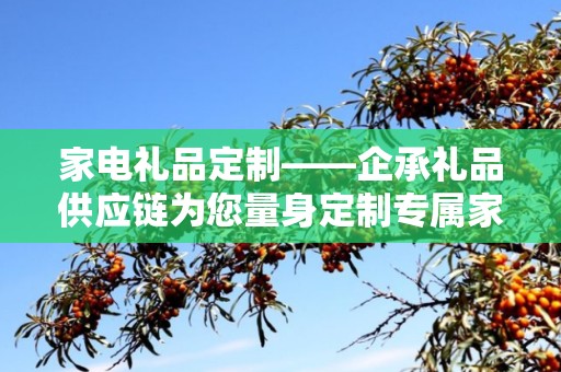 家电礼品定制——企承礼品供应链为您量身定制专属家电礼品