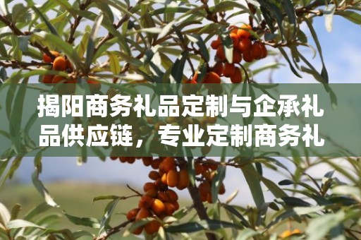 揭阳商务礼品定制与企承礼品供应链，专业定制商务礼品的首选